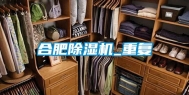合肥除湿机_重复