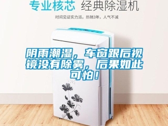 知识百科阴雨潮湿，车窗跟后视镜没有除雾，后果如此可怕！