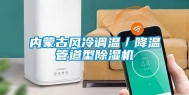 内蒙古风冷调温／降温管道型除湿机