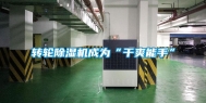 转轮除湿机成为“干爽能手”