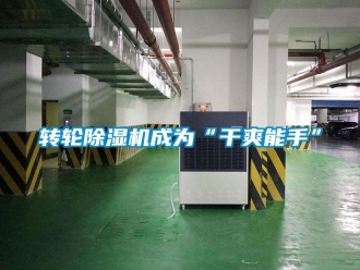 知识百科转轮除湿机成为“干爽能手”