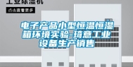 电子产品小型恒温恒湿箱环境实验-琦意工业设备生产销售