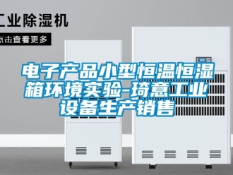 知识百科电子产品小型恒温恒湿箱环境实验-琦意工业设备生产销售