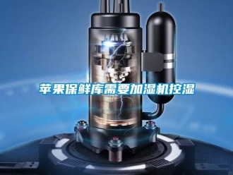 行业新闻苹果保鲜库需要加湿机控湿