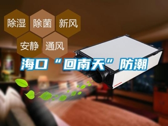 行业新闻海口“回南天”防潮