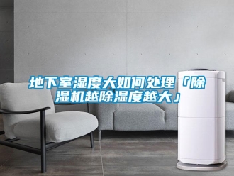 行业新闻地下室湿度大如何处理「除湿机越除湿度越大」