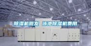 除湿机批发 泳池除湿机费用