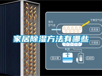 企业新闻家居除湿方法有哪些