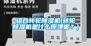 组合转轮除湿机(转轮除湿机是什么原理呢？)