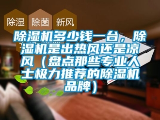 企业新闻除湿机多少钱一台，除湿机是出热风还是凉风（盘点那些专业人士极力推荐的除湿机品牌）