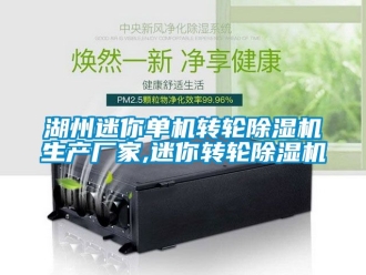企业新闻湖州迷你单机转轮除湿机生产厂家,迷你转轮除湿机
