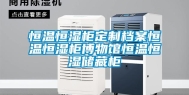 恒温恒湿柜定制档案恒温恒湿柜博物馆恒温恒湿储藏柜