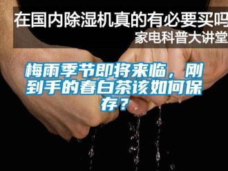 常见问题梅雨季节即将来临，刚到手的春白茶该如何保存？
