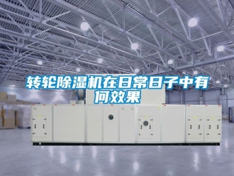 常见问题转轮除湿机在日常日子中有何效果