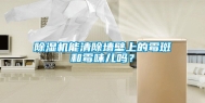 除湿机能清除墙壁上的霉斑和霉味儿吗？