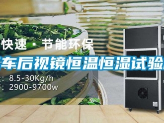 知识百科汽车后视镜恒温恒湿试验箱