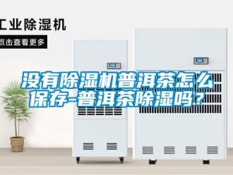 行业新闻没有除湿机普洱茶怎么保存-普洱茶除湿吗？