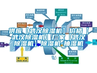 企业新闻供应【武汉除湿机】价格【武汉除湿机】厂家【武汉除湿机】除湿机-抽湿机