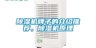 除湿机牌子的介绍推荐，除湿机原理