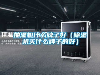 企业新闻抽湿机什么牌子好（除湿机买什么牌子的好）