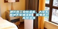 通化市工业除湿机，大型车间地下室抽湿机  配电房仓库除湿器