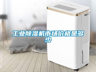 常见问题工业除湿机市场价格是多少