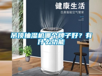 企业新闻吊顶抽湿机哪个牌子好？有什么功能