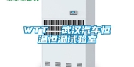 WTT  武汉汽车恒温恒湿试验室