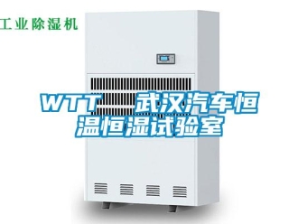 常见问题WTT  武汉汽车恒温恒湿试验室