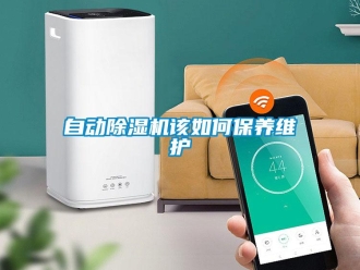常见问题自动除湿机该如何保养维护
