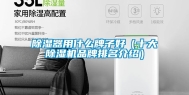 除湿器用什么牌子好（十大除湿机品牌排名介绍）