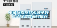 电子除湿器什么牌子好 电子除湿器品牌推荐