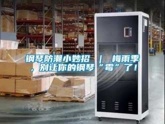 常见问题钢琴防潮小妙招 ｜ 梅雨季，别让你的钢琴“霉”了！