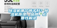 除湿机哪个牌子好？除湿机原理，品牌，必要性解读