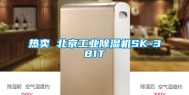 热卖 北京工业除湿机SK-381T