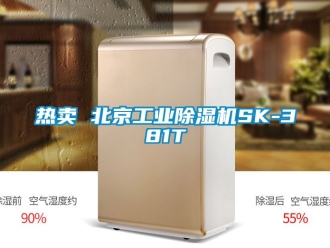 常见问题热卖 北京工业除湿机SK-381T
