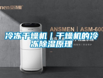 行业新闻冷冻干燥机｜干燥机的冷冻除湿原理