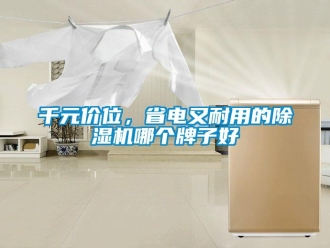 行业新闻千元价位，省电又耐用的除湿机哪个牌子好