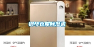 钢琴仓库除湿机
