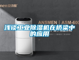 常见问题浅谈工业除湿机在桥梁中的应用