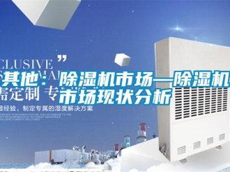 行业新闻其他：除湿机市场—除湿机市场现状分析