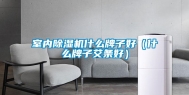 室内除湿机什么牌子好（什么牌子艾条好）