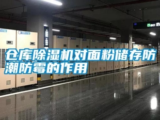 企业新闻仓库除湿机对面粉储存防潮防霉的作用