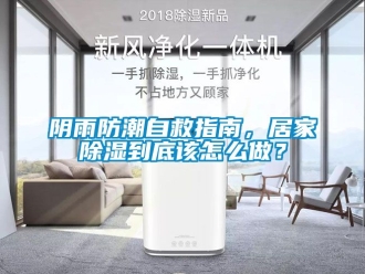 常见问题阴雨防潮自救指南，居家除湿到底该怎么做？