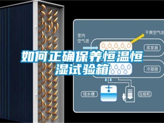 知识百科如何正确保养恒温恒湿试验箱