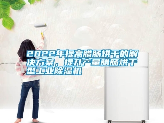 常见问题2022年提高腊肠烘干的解决方案，提升产量腊肠烘干型工业除湿机