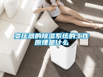 企业新闻变压器的除湿系统的工作原理是什么