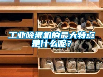 企业新闻工业除湿机的最大特点是什么呢？