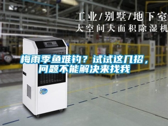 常见问题梅雨季鱼难钓？试试这几招，问题不能解决来找我