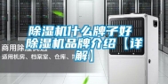 除湿机什么牌子好 除湿机品牌介绍【详解】